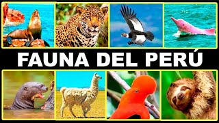 Los Animales más Fascinantes del Perú