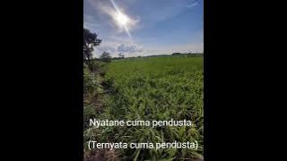Tarling Kenangan |Jembatan Bangkir| Cirebon-Indramayu