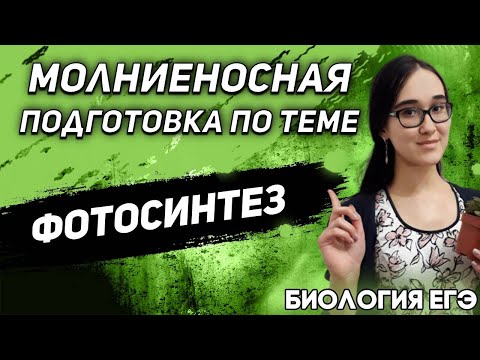 ЕГЭ Биология 2022 | Фотосинтез | Понятие фотосинтеза | Фотосинтезирующие организмы