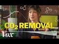 Carbon Removal and Emission Challenges