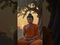 बुद्ध के 3 अनमोल विचार | मन की शांति के लिए |Gautam Buddha story | Buddh ke vichar #shorts #ytshorts