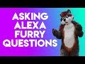 Asking Amazon Alexa Furry Questions
