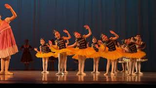 Ballet Gala DEDICATED TO VAKHTANG CHABUKIANI