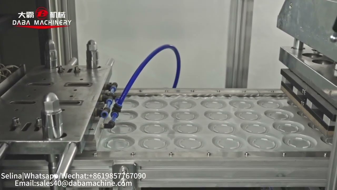 Automatic Plastic Cup Lid Thermoforming Machine