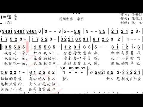 女人花 伴奏
