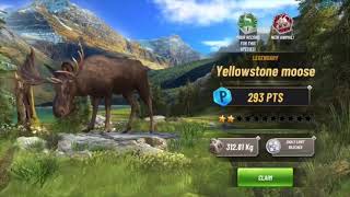 i found the YELLOWSTONE MOOSE in Hunting Clash (Legendary) screenshot 5