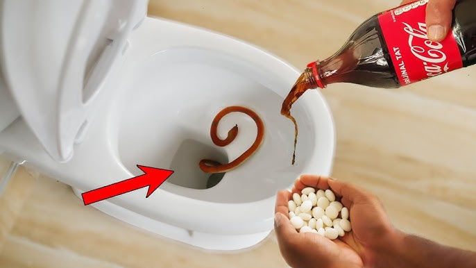 How a Snake Can Get Into Your Home Through Your Toilet — Best Life