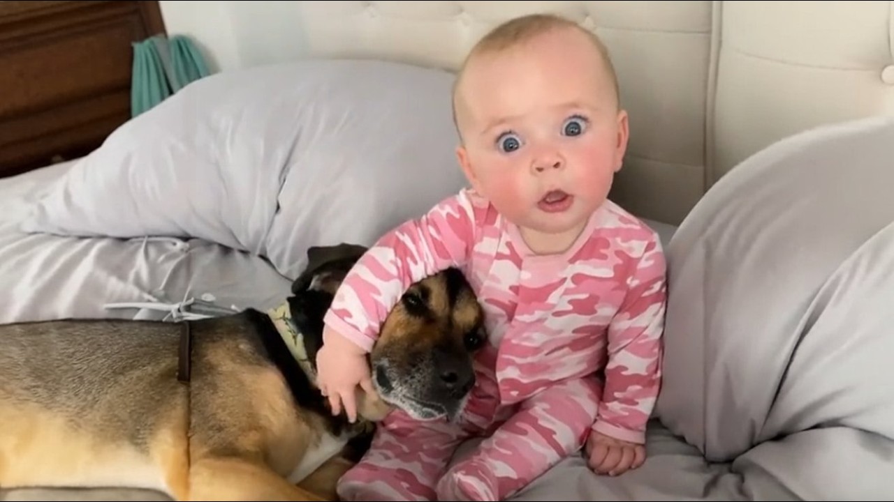 Она спасла пса, которого никто не мог тронуть – теперь он день и ночь охраняет ее малыша