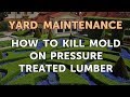 How to Kill Mold on Pressure Treated Lumber How to Kill Mold on Pressure Treated Lumber