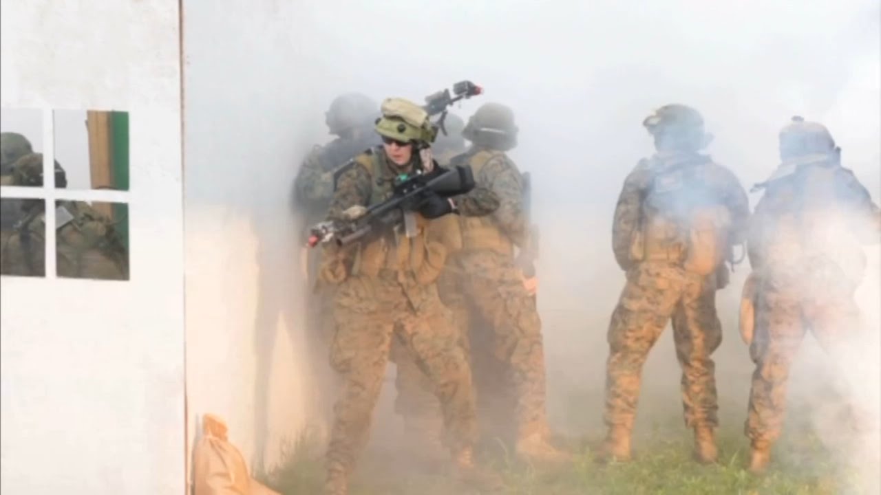 Saber Guardian / Rapid Trident 2015