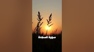 سورة السجدة #quran