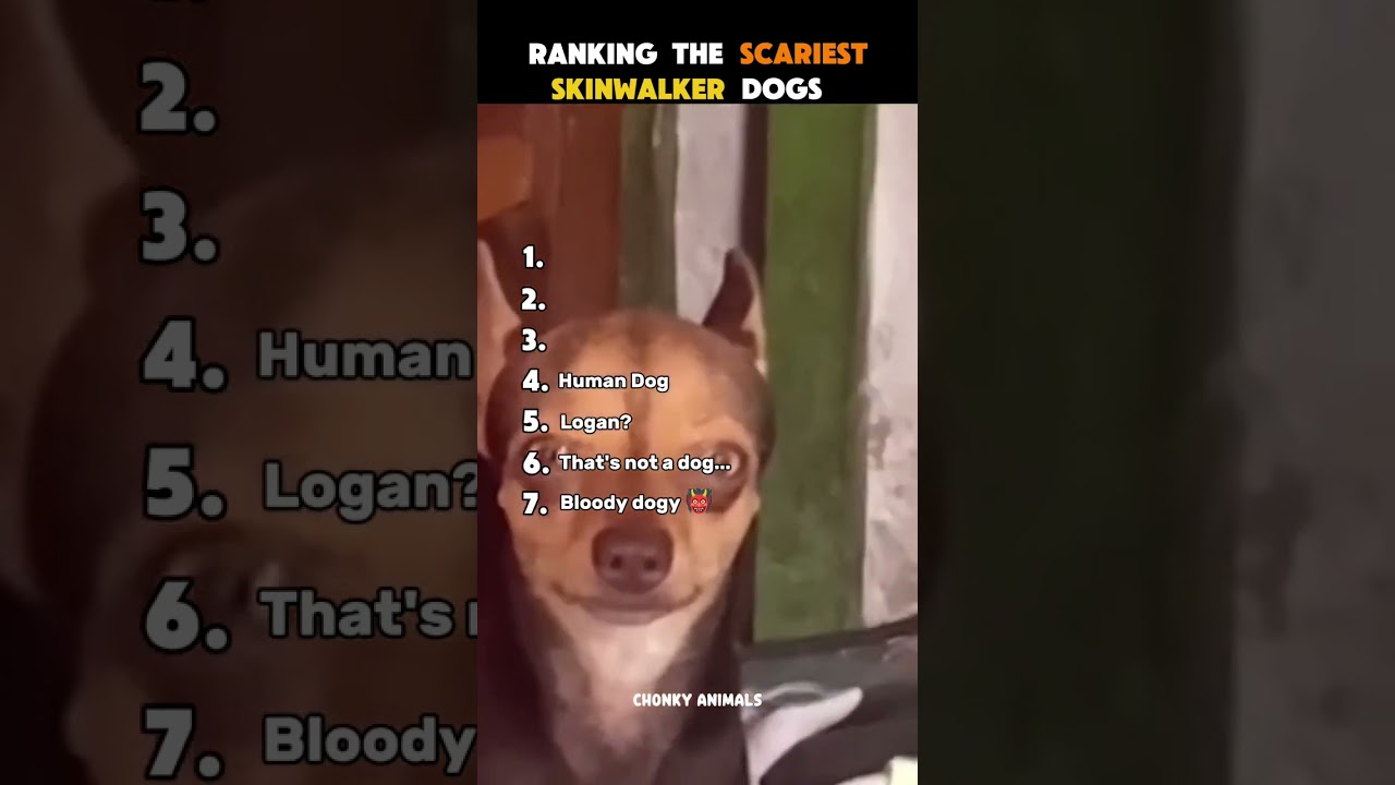 Ranking The Scariest Skinwalker Dogs | No. 1 Will Haunt Your Dream 🫣 