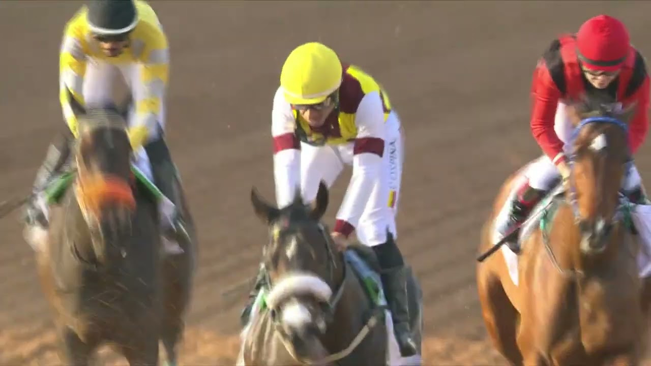 Race Replay R2 - International Jockey's Challenge 2024 - Fri 23rd Feb 2024 (Saudi Cup IJC Day)