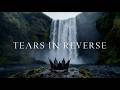 The Cab - Tears In Reverse (Lyric Video)