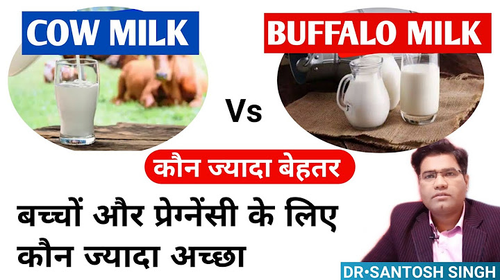 Cow Milk or Buffalo Milk Which Is Better? | ( Major Difference Explained In Hindi)