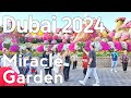 Dubai 2024  dubai miracle garden walking tour 4k