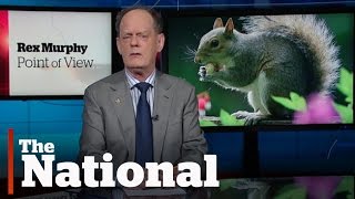 The Trial of the Century? | Rex Murphy