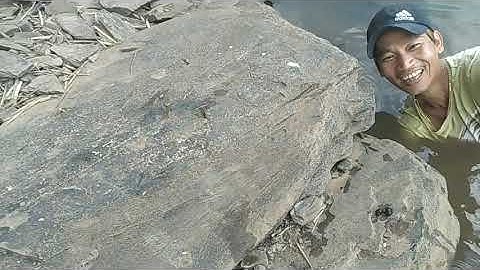 thành hoàng youtube lay không  làm xoài đi câu cá mò cá bắt ốc vui quá trời luôn cái kết ...vvv...