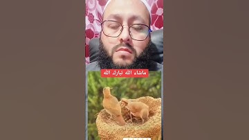 آيات القرآن الكريم بصوت القاري عبدالولي الاركاني #ihsankhan #اكسبلور #القرآن_الكريم #راحة_نفسية