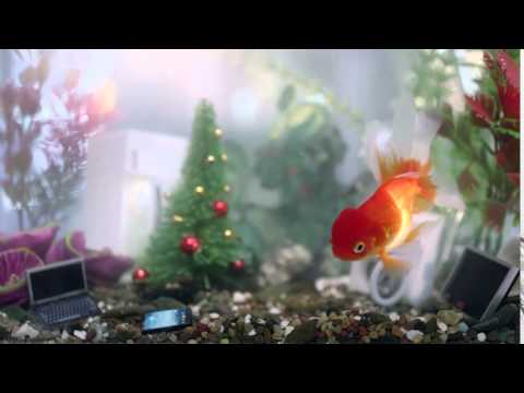 ოქროს თევზი 2