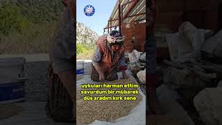 Uykuları Harman Ettim Savurdum Bir Mübarek Düş Aradım Kırk Sene Resimi