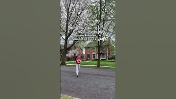 did it work?? #original #algorithm #upcomingmusician #indierock #indie #rockmusic #spotify