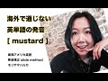 【英語発音】英語発音のプロが教えるmustard の発音