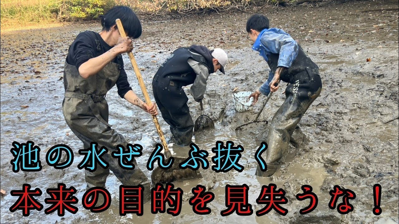 本来の池干しはこういうものだ！