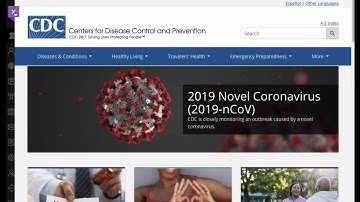 LTI Tool Generation for Blackboard Ultra Navigation