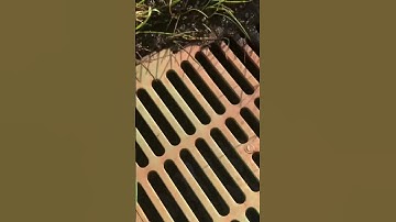 How To NOT Fix A Flooded Yard With A French Drain