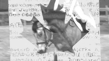 REPRESENT; canada&europe