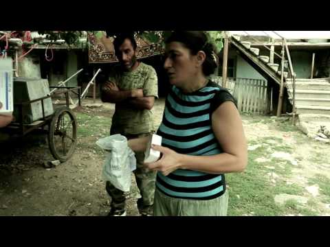 Gomareti გომარეთი Гомарети oajxis daxmareba