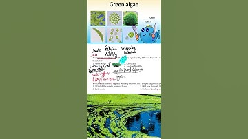 Assistant Architect previous year question paper_Kerala Temples #DDA #gatearchitecturevijen