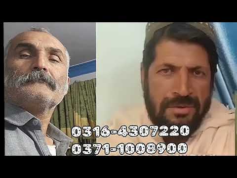 د دغه افغان کډوال دوې پیغلي لوڼی لوراني په بلوچستان پشین ولسوالی کي نادرکه دي