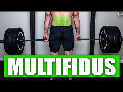 BEST Multifidus Exercises - Not What You Think! (Science Based)