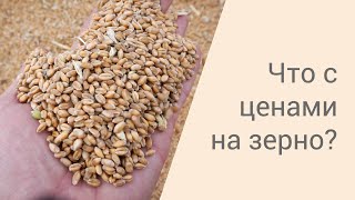 Цена на зерно упала: ждать или продавать?