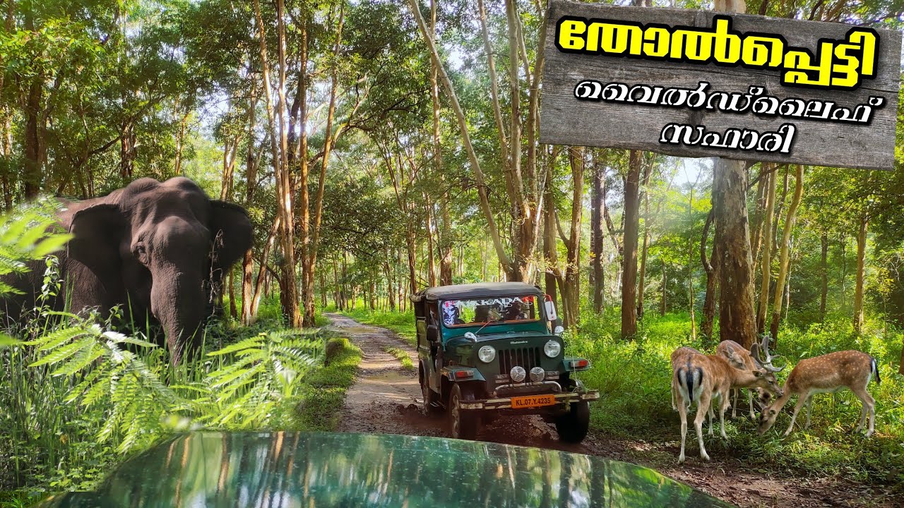 tholpetty wildlife sanctuary jeep safari booking