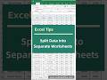 Excel Tips - Split Data into Separate Worksheets #excel #exceltips