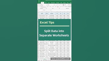 Excel Tips - Split Data into Separate Worksheets #excel #exceltips