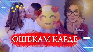 🌹Ошикам Карди 🌺Бехтарин Суруд Нав 🥰Сарояндагони Чавон🌺🌸🐩