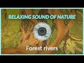 Forest rivers  relaxing sound of nature