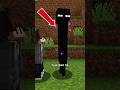 OS ENDERMANS. #minecraft #curiosidades