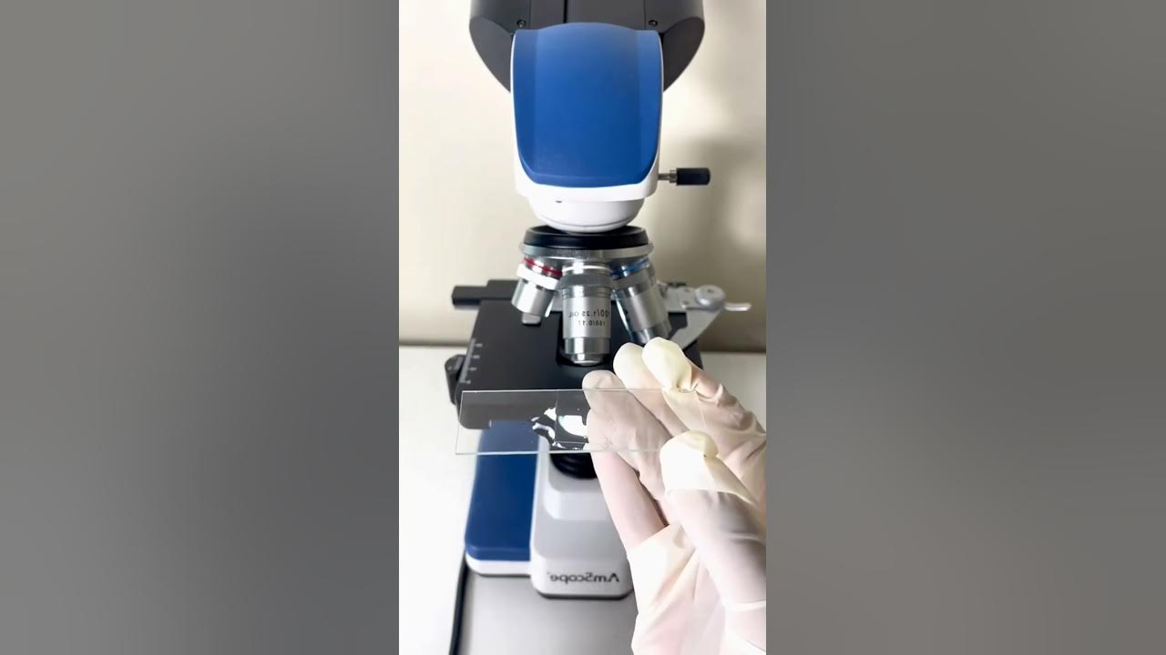 Pool Water under microscope 🔬🔬🔬 micro water microscope satisfying