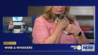 First at 4: Wine and Whiskers