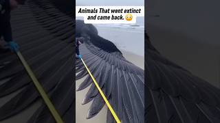 😳Animals that went extinct and came back!!