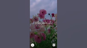 #تلاوة من #سورة_مريم بصوت #فارس_عباد #قران #قرآن_كريم #آيات #استغفرالله #الحمدلله #quran
