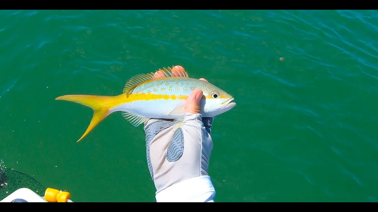 Niles Channel, Ramrod key side. Lower Keys, Florida