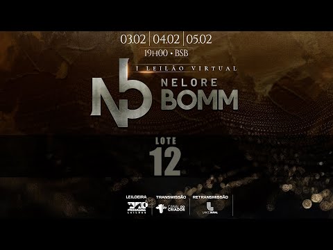 LOTE 12   TUL 5165 BOMM 183 BOMM 154 TUL 5048 FSN A3121 FGP A613 VCPB 476