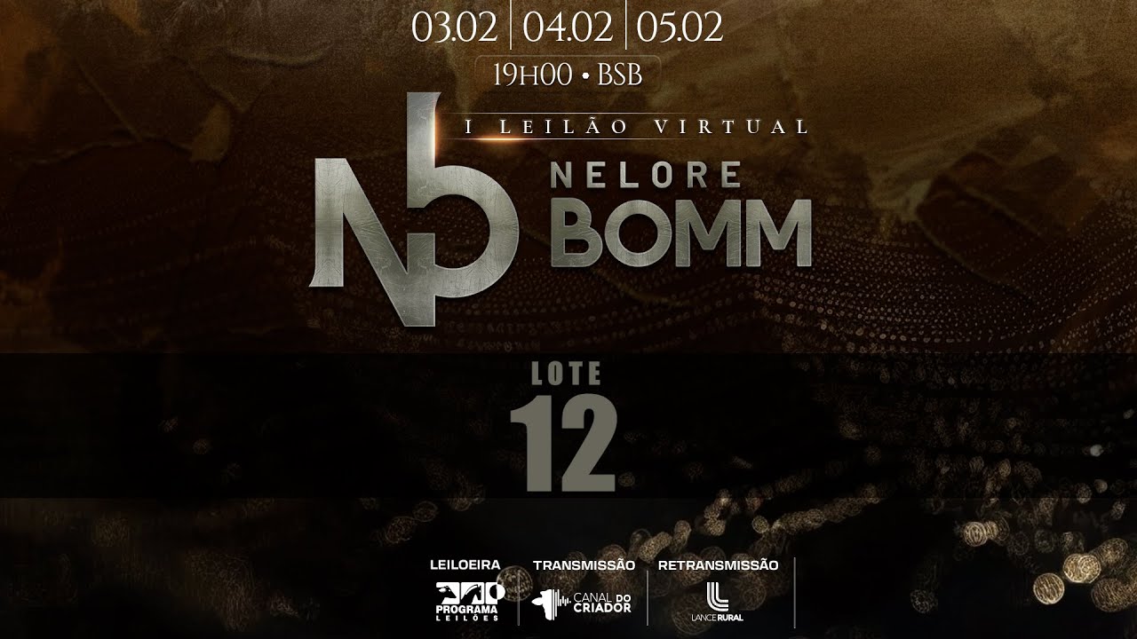 LOTE 12   TUL 5165 BOMM 183 BOMM 154 TUL 5048 FSN A3121 FGP A613 VCPB 476