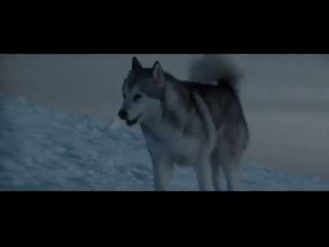 EIGHT BELOW-On their own